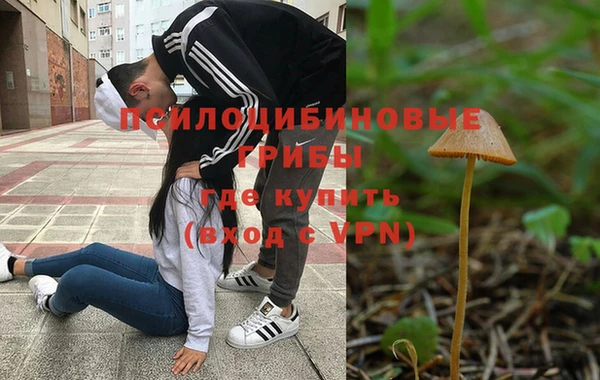 дмт Абдулино