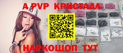 стафф Новокубанск