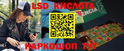 ALPHA PVP Новозыбков