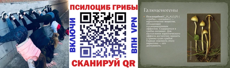 Галлюциногенные грибы GOLDEN TEACHER Тейково